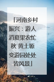 河南乡村振兴：游人消夏果农忙秋 黄土塬变游园处处皆风景