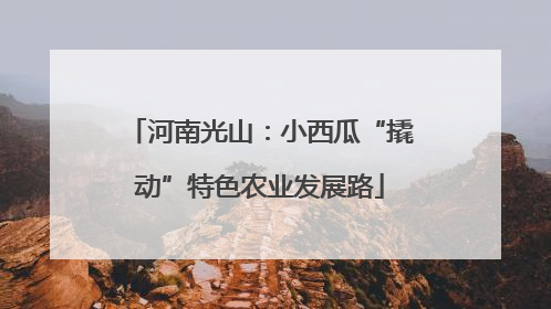 河南光山：小西瓜“撬动”特色农业发展路