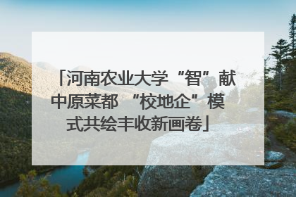 河南农业大学“智”献中原菜都 “校地企”模式共绘丰收新画卷