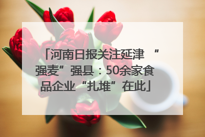 河南日报关注延津 “强麦”强县：50余家食品企业“扎堆”在此