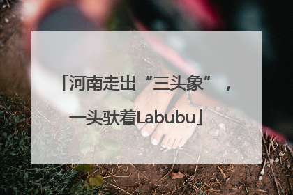河南走出“三头象”，一头驮着Labubu