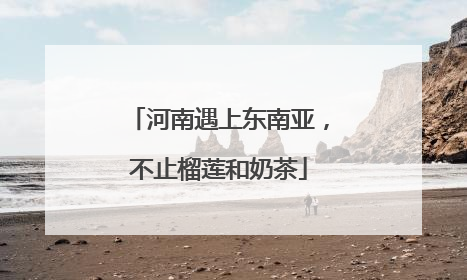 河南遇上东南亚，不止榴莲和奶茶