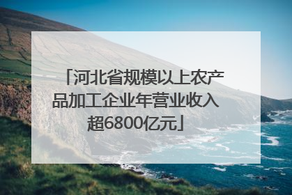 河北省规模以上农产品加工企业年营业收入超6800亿元