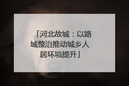 河北故城：以路域整治推动城乡人居环境提升