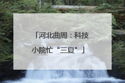 河北曲周：科技小院忙“三夏”