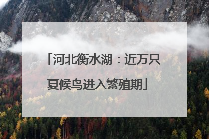 河北衡水湖：近万只夏候鸟进入繁殖期