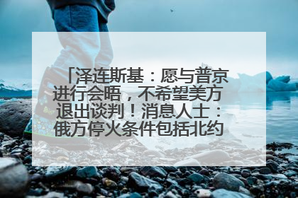 泽连斯基：愿与普京进行会晤，不希望美方退出谈判！消息人士：俄方停火条件包括北约“书面”保证不东扩