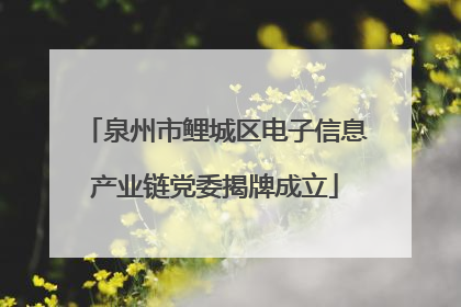 泉州市鲤城区电子信息产业链党委揭牌成立