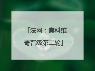 法网：焦科维奇晋级第二轮