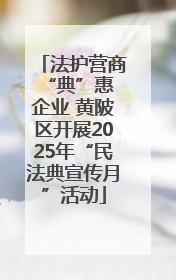 法护营商 “典”惠企业 黄陂区开展2025年“民法典宣传月”活动