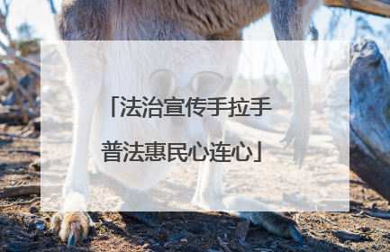 法治宣传手拉手 普法惠民心连心