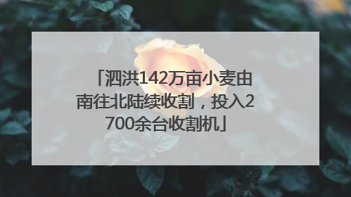 泗洪142万亩小麦由南往北陆续收割，投入2700余台收割机