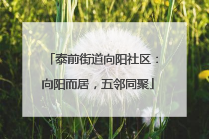 泰前街道向阳社区：向阳而居，五邻同聚
