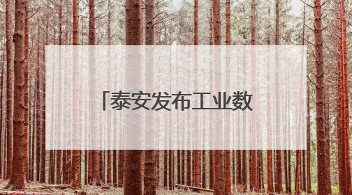 泰安发布工业数智化转型蓝图，“十百千万”梯队+灯塔工厂打造产业新标杆