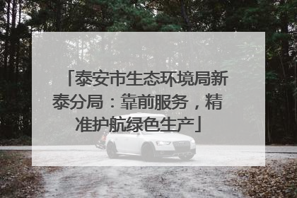泰安市生态环境局新泰分局:靠前服务,精准护航绿色生产