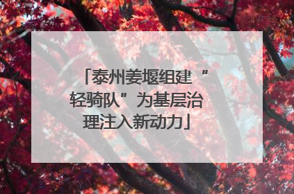 泰州姜堰组建“轻骑队”为基层治理注入新动力