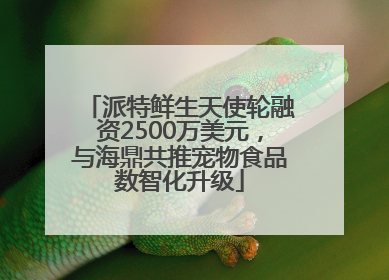 派特鲜生天使轮融资2500万美元，与海鼎共推宠物食品数智化升级