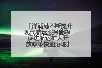 洋浦港不断提升现代航运服务能级 促进航运扩大开放政策快速落地