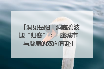 洞见岳阳丨洞庭碧波迎“归客”：一座城市与麋鹿的双向奔赴