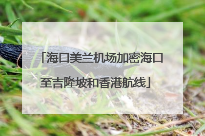 海口美兰机场加密海口至吉隆坡和香港航线