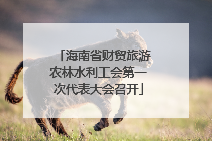 海南省财贸旅游农林水利工会第一次代表大会召开