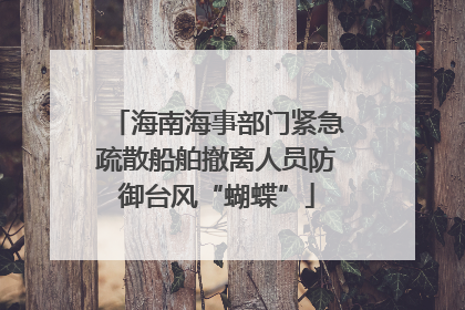 海南海事部门紧急疏散船舶撤离人员防御台风“蝴蝶”