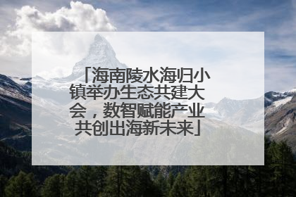 海南陵水海归小镇举办生态共建大会，数智赋能产业共创出海新未来