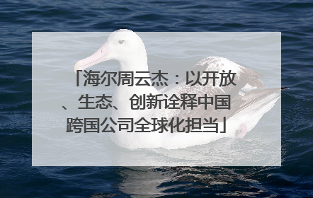 海尔周云杰：以开放、生态、创新诠释中国跨国公司全球化担当