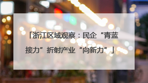 浙江区域观察：民企“青蓝接力”折射产业“向新力”