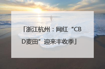 浙江杭州：网红“CBD麦田”迎来丰收季