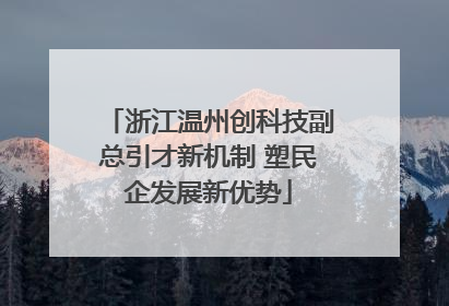 浙江温州创科技副总引才新机制 塑民企发展新优势
