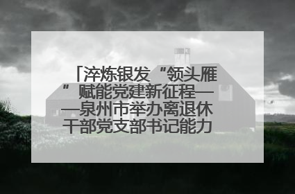 淬炼银发“领头雁”赋能党建新征程——泉州市举办离退休干部党支部书记能力建设专题培训