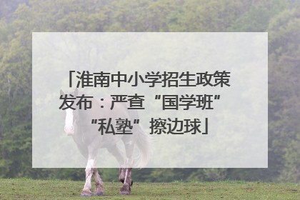 淮南中小学招生政策发布：严查“国学班”“私塾”擦边球