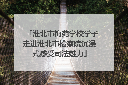淮北市梅苑学校学子走进淮北市检察院沉浸式感受司法魅力