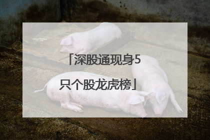 深股通现身5只个股龙虎榜
