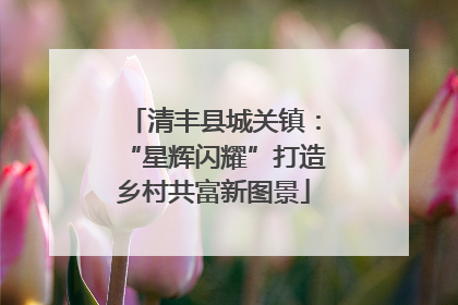 清丰县城关镇：“星辉闪耀”打造乡村共富新图景