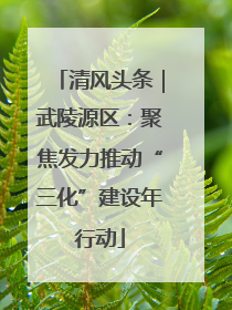 清风头条｜武陵源区：聚焦发力推动“三化”建设年行动