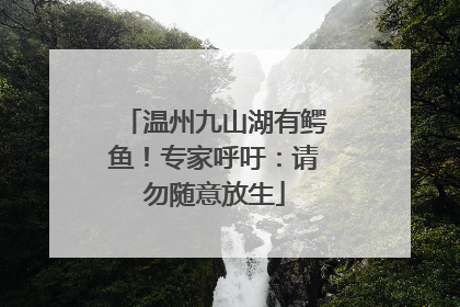 温州九山湖有鳄鱼！专家呼吁：请勿随意放生