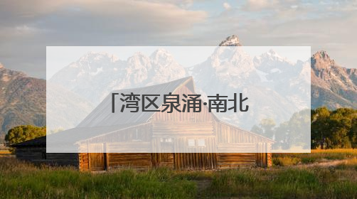 湾区泉涌·南北共擎——“花楸树”杯明湖慈善公益跑成功举办