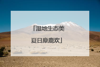湿地生态美 夏日麋鹿欢