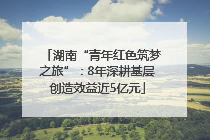 湖南“青年红色筑梦之旅”：8年深耕基层创造效益近5亿元