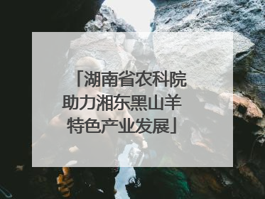 湖南省农科院助力湘东黑山羊特色产业发展