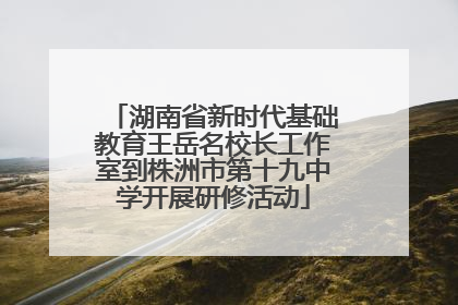 湖南省新时代基础教育王岳名校长工作室到株洲市第十九中学开展研修活动