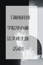 湖南科技学院举办廉洁文化主题活动