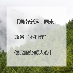 湖南宁远：周末政务“不打烊” 便民服务暖人心