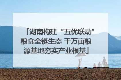 湖南构建“五优联动”粮食全链生态 千万亩粮源基地夯实产业根基