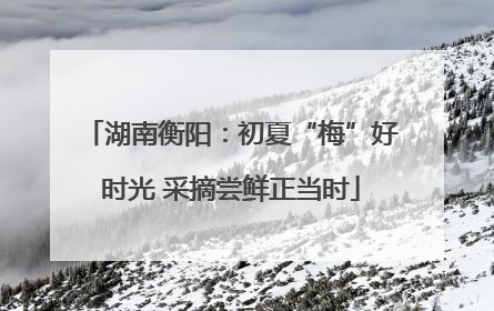 湖南衡阳：初夏“梅”好时光 采摘尝鲜正当时
