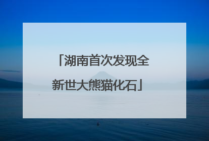 湖南首次发现全新世大熊猫化石