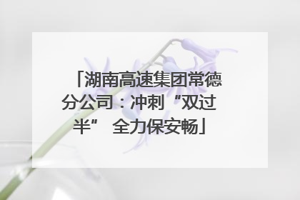 湖南高速集团常德分公司：冲刺“双过半” 全力保安畅
