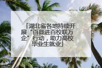 湖北省各地持续开展“百县进百校联万企”行动，助力高校毕业生就业